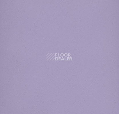 Линолеум Forbo Eternal Colour 40582 lavender фото 1 | FLOORDEALER